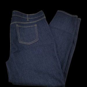 Torrid  Skinny Jeans High-rise Dark Wash Premium Denim NEW Sz 24R